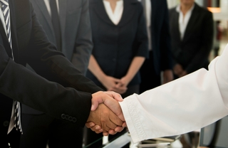 Professional leadership
